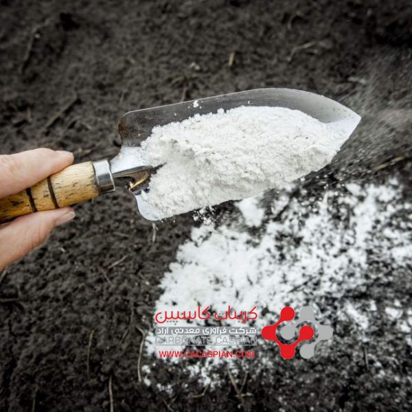 پودر آهک شاخص