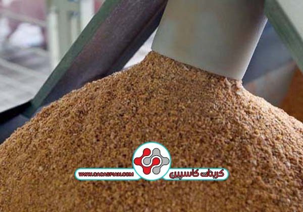 شاخص اصلی کلسیم