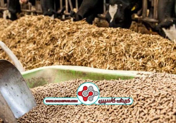 تامین کلسیم در خوراک دام