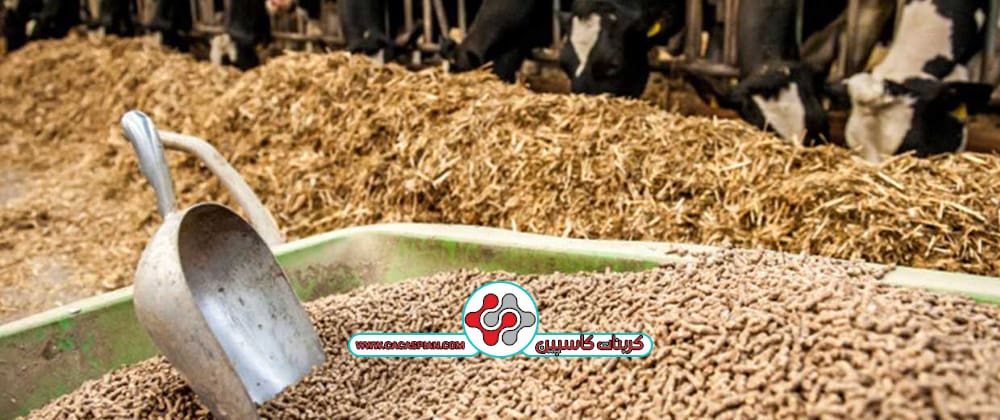 تامین کلسیم در خوراک دام