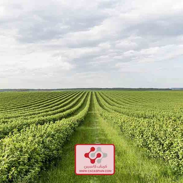20230903144607 [fpdl in] high angle farmland view 23 2148579680 full