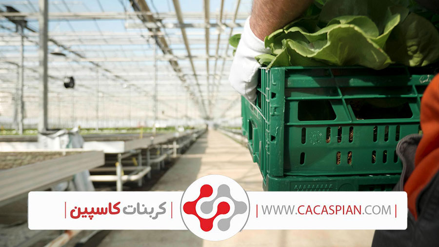 کود کربنات کلسیم