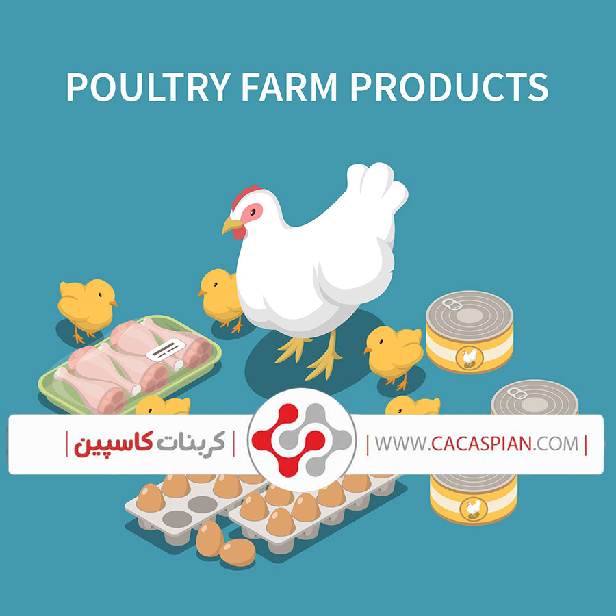 poultry supplement