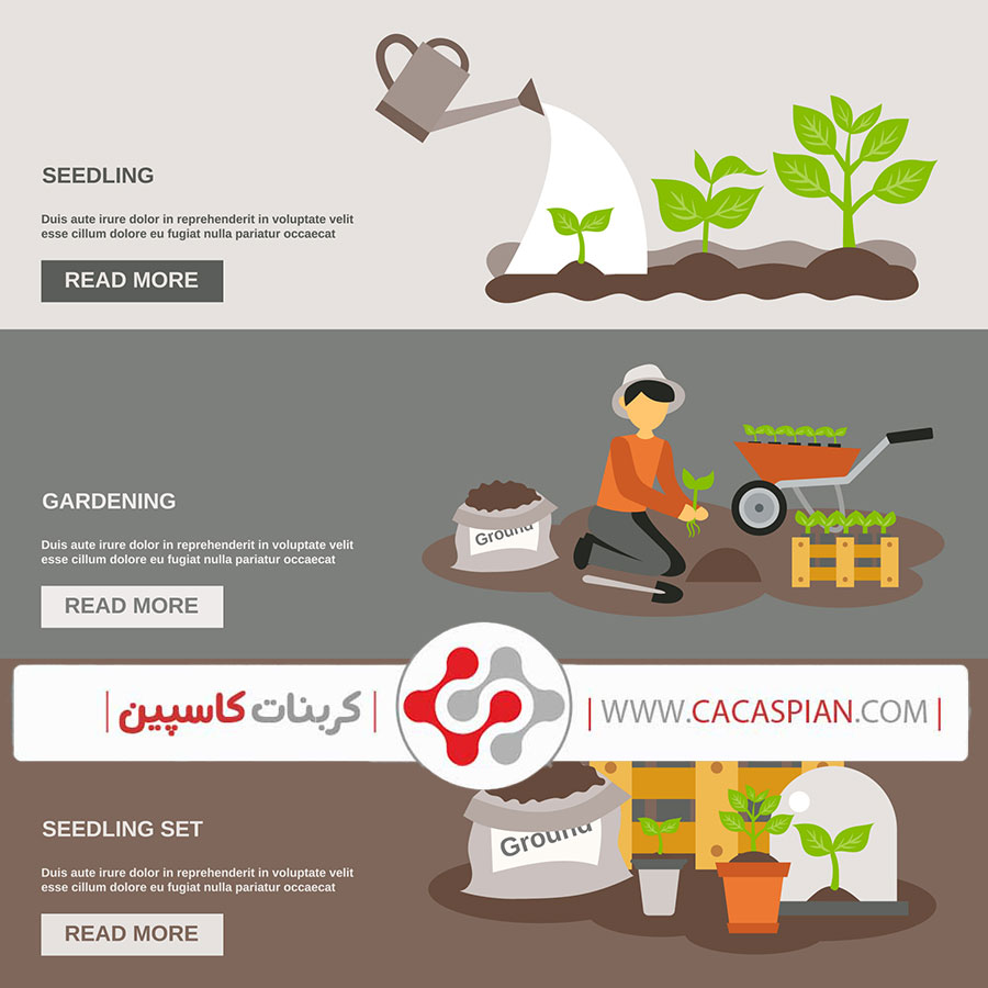 کود کربنات کلسیم