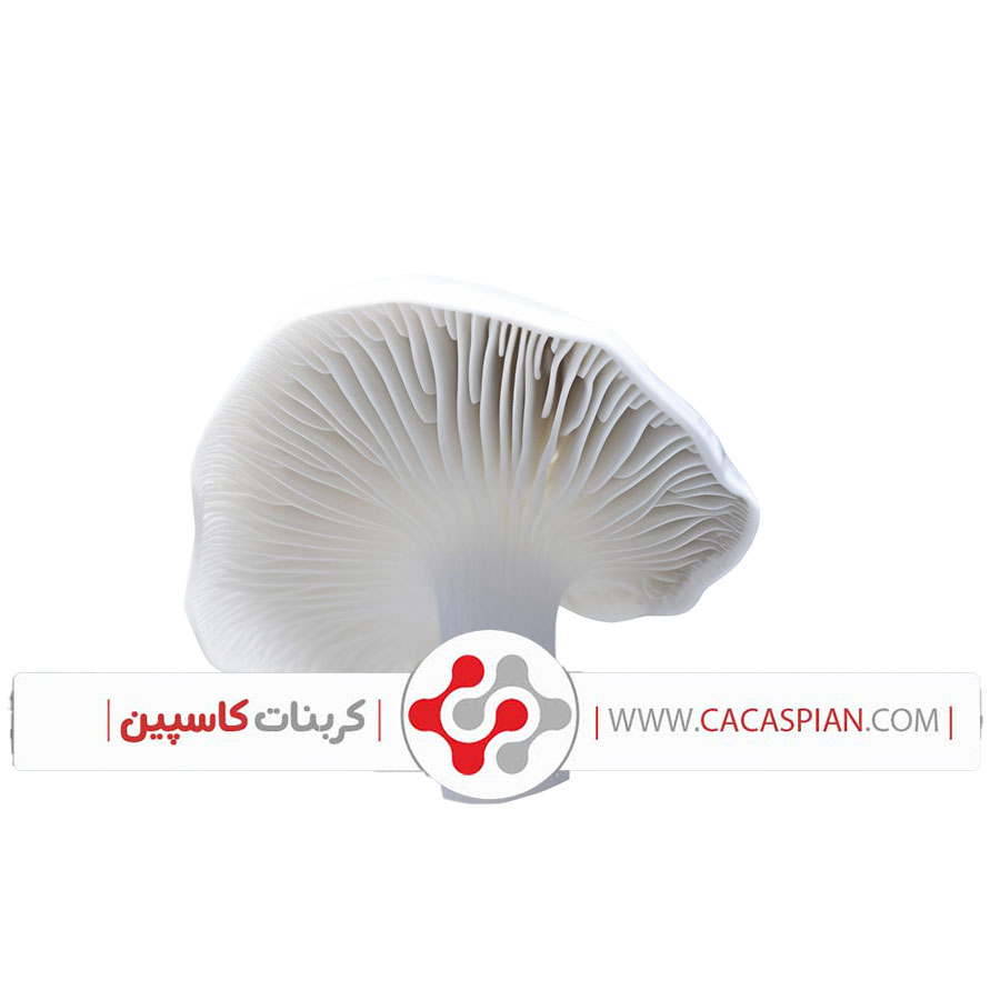 کربنات کلسیم برای قارچ