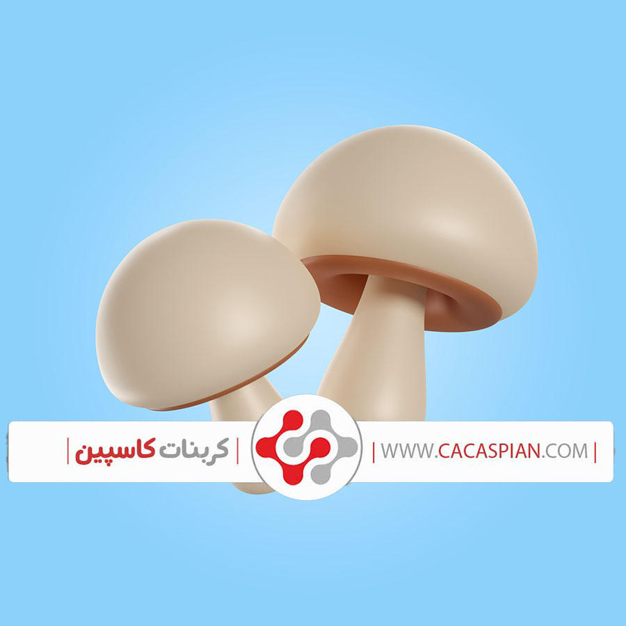 علائم کمبود کلسیم در قارچ