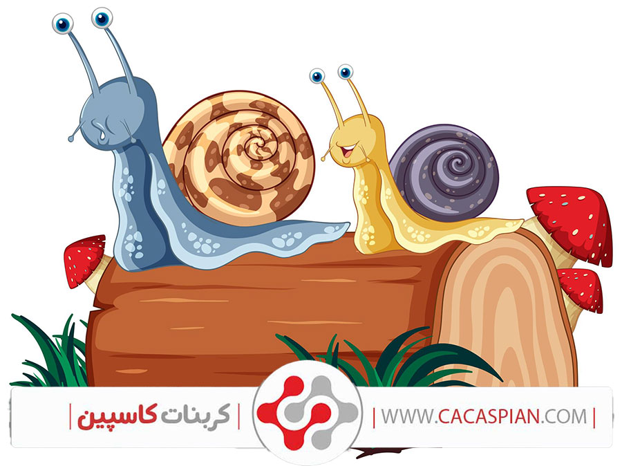 کربنات کلسیم: کلید رشد و سلامتی حلزون‌ها