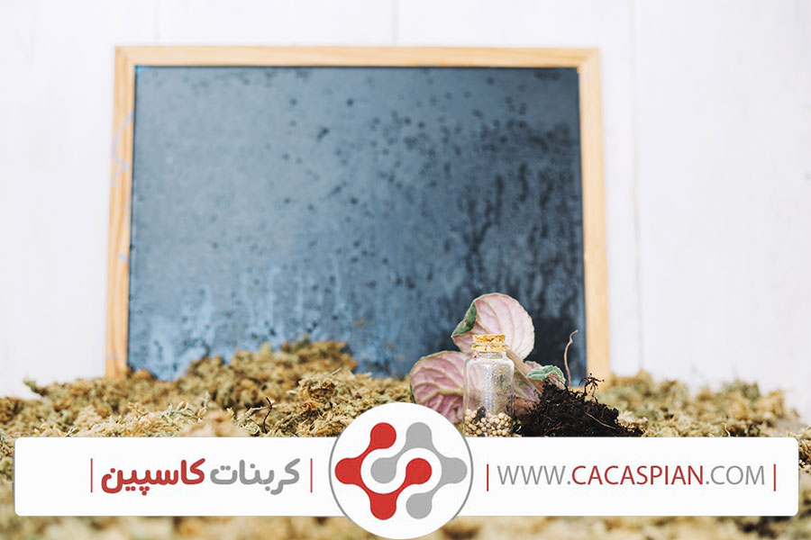 کربنات کلسیم و سلامت حلزون