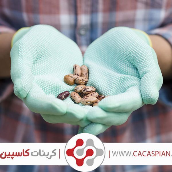 کاربرد کربنات کلسیم در پرورش حلزون‌ (6)