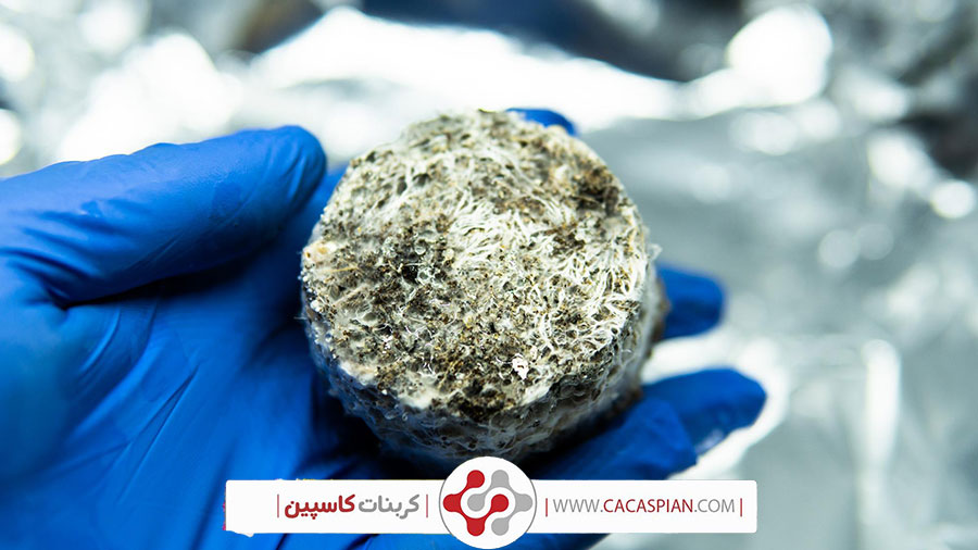 کاربردهای بالقوه کربنات کلسیم تولید شده از پسماند سیمان منیزیم